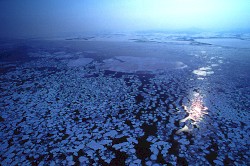 SILENT DUB TECHNO #0