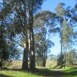 Pinole Shores Park (January 21st, 2019)
