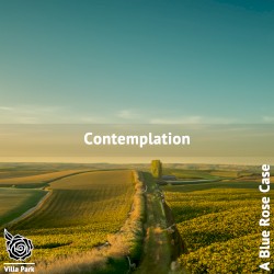 Contemplation
