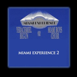 Miami Experience 2