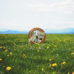 Forgotten Feels (Deluxe)