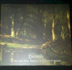 As One With These Woods & A Moment of Solitude