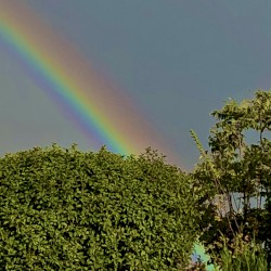 Juichigatsunakaba (Over the Green Rainbow)