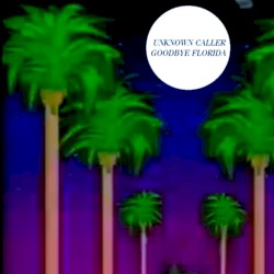 Goodbye Florida