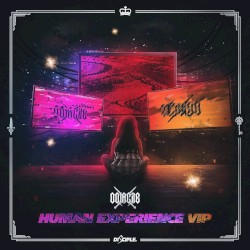 Human Experience VIP