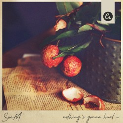 nothing’s gonna hurt u