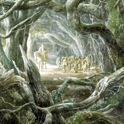 Mirkwood