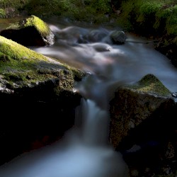 King Of Kings & Lord Of Lords