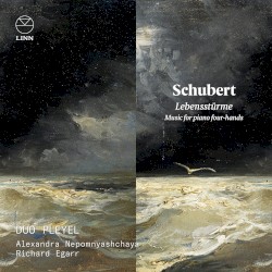 Schubert: Lebensstürme. Music for Piano Four-Hands