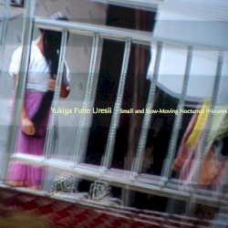 Small and Slow-Moving Nocturnal Primates