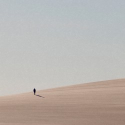 Shadow of the Colossus