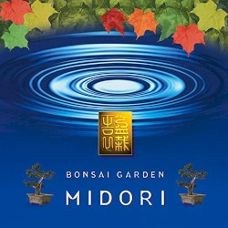 Bonsai Garden