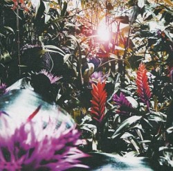 DEEP SPACE SYNDICATE