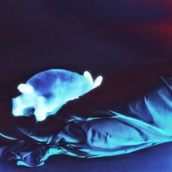 Higher (Prozak remix)