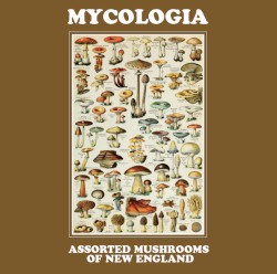 Assorted Mushrooms Of New England