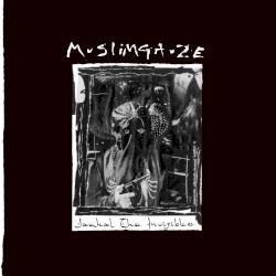 Jackal the Invizible