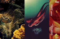 Sub-Aquatic Meditation / Soma Satori