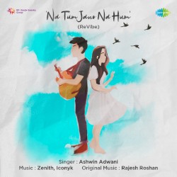 Na Tum Jano Na Hum (Revibe)