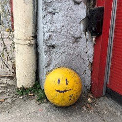 Why Why Why (rehearsal 2018)