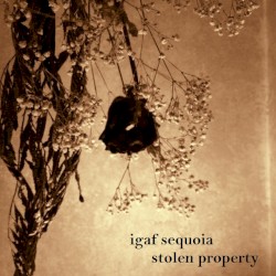 Stolen Property