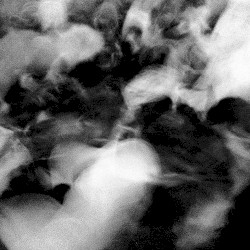 Kissing Rosy in the Rain