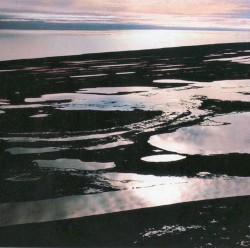 Lake Reflection Catalyst