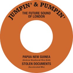 Papua New Guinea / Stolen Documents