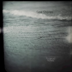 Sea Shores