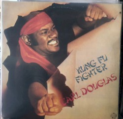 Kung Fu Fighter