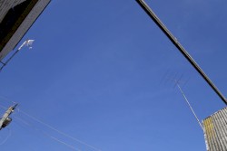 DSC 0648