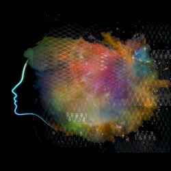 Over My Dead Body // an acid analogue