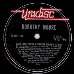 Just Another Broken Heart