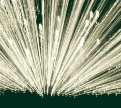 High Expectations / Low Results