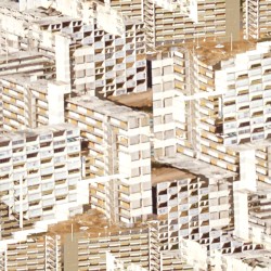 スキャニン・ダズリン