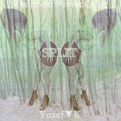 Intellegent Wave Split