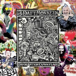 Information Camouflage