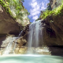 Flourishing Melodies