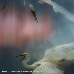 The Making of a Paracosm (Remixes Vol. 2)