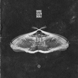 아무도 모르게 피어난