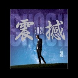 震撼2020