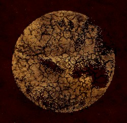 Ballade for a Wolf Moon