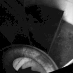 Morning Lake Forever