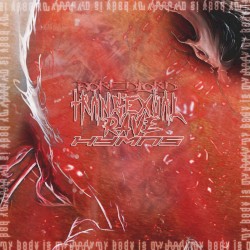 Transexual Rave Hymns