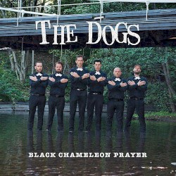 Black Chameleon Prayer