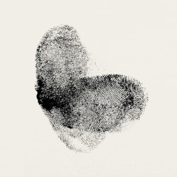 L.N.S.I.