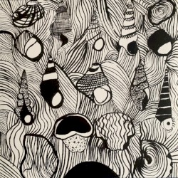 Walrus