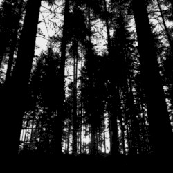 Smoke Screen Horizon