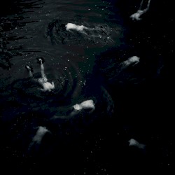 I'll Always Be the Same