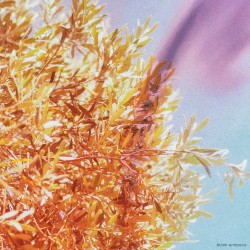 Пронзительная сверкающая капéль