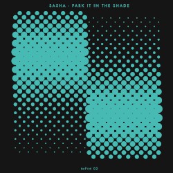 Park It in the Shade